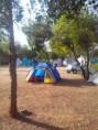 /album/diversos3/img-20150716-082225-jpg/